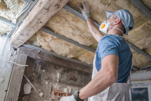 Best Types of Insulation in Youngtown, AZ